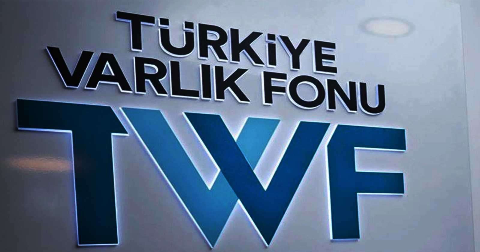 TVF, Türkiye Sigorta'da 450 milyon lira nominal değerde pay satışı planlıyor