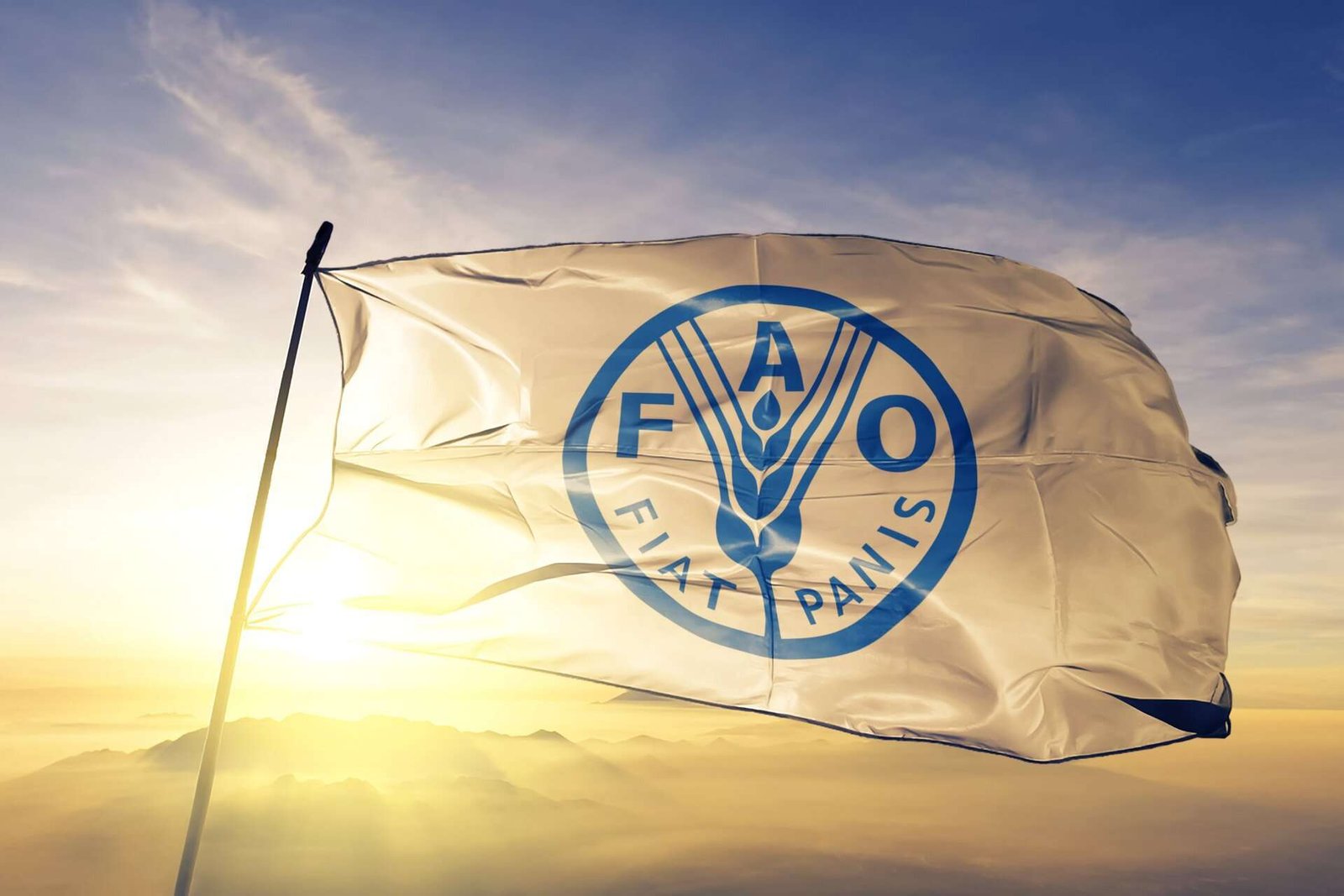 FAO: Hürmüz Boğazı'nın kapanması 6-12 ay içinde küresel gıda fiyat krizini tetikleyebilir