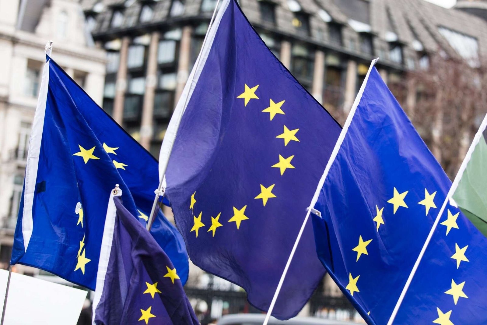 Euro Bölgesi'nde ekonomik faaliyet sekiz ayın zirvesine çıktı