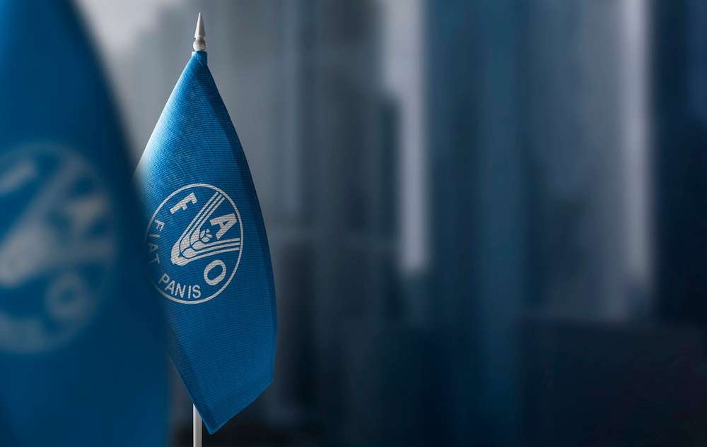 FAO gıda fiyat endeksi temmuzda üç yılın zirvesine çıktı