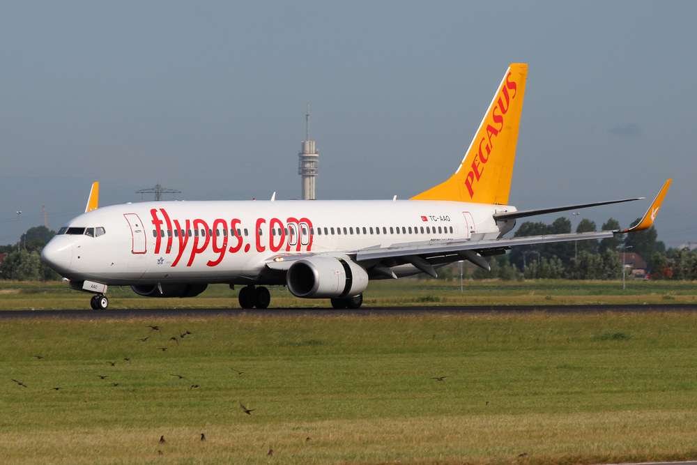 Pegasus'un yolcu sayısı temmuzda yüzde 8 arttı