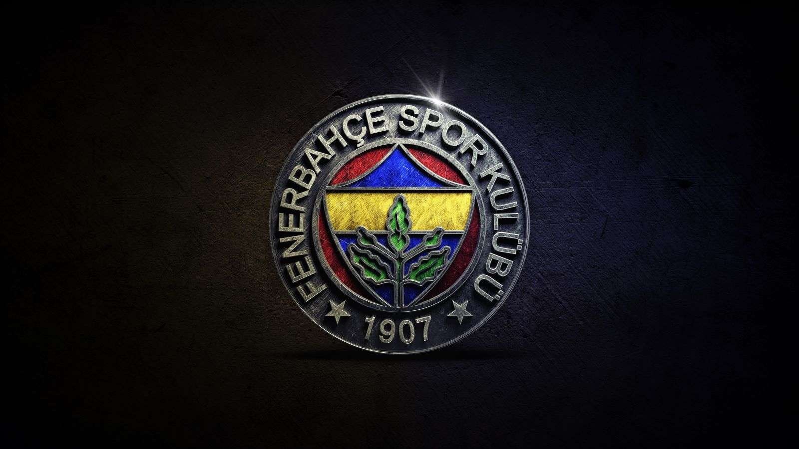 Fenerbahçe Futbol AŞ'nin üç aylık net karı  yüzde 536 arttı